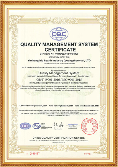 AG尊时凯龙ISO9001（英文）